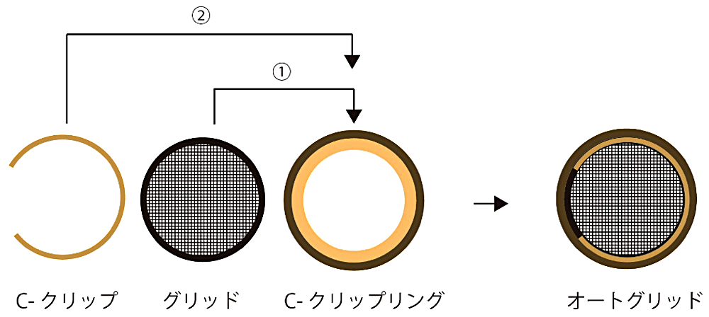 図3：オートグリッドの作製の模式図。クライオグリッドをC-クリップリングの窪みにはまるようにおく（①）。その後、C-クリップをはめこむことでオートグリッドとなる（②）。