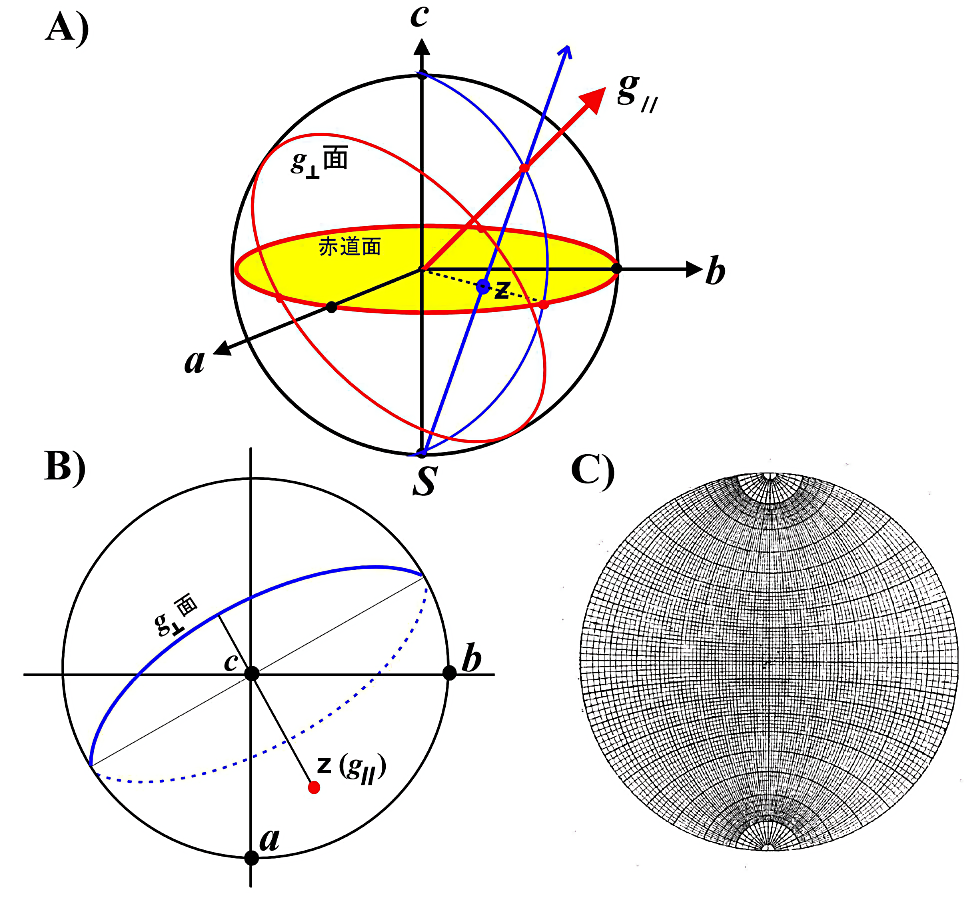 ステレオ投影図による表示A）3次元空間での \(\boldsymbol{g_{\parallel}}\) ベクトルを2次元平面上の点z として投影する。単位長の半径をもつ球を直交座標 \((a\text{、}b\text{、}c)\) 上に考える。次に、原点より \(\boldsymbol{g_{\parallel}}\) 方向にとった直線（赤矢印線）が球面を切る点とこの球の南極（\(\boldsymbol{S}\)）とを結ぶ。この直線が赤道面（\(\boldsymbol{ab}\) 面）を切る点を \(\boldsymbol{\mathrm{z}}\) とする。これがステレオ投影法の原理である。B）例として、結晶 \(\boldsymbol{a}\)、\(\boldsymbol{b}\)、\(\boldsymbol{c}\)-軸、\(\boldsymbol{g_{\parallel}}\)（\(\boldsymbol{\mathrm{z}}\)-主軸）の方向および \(\boldsymbol{g_{\perp}}\) 面（青色実線円弧は赤道面より上、即ち北半球にある事を示しており、青破線円弧は赤道面の下、即ち南半球にある事を示している）をステレオ投影図で示した。C）あるベクトル \(\boldsymbol{\mathrm{z}}\) の直交座標軸 \((\boldsymbol{a}\text{、}\boldsymbol{b}\text{、}\boldsymbol{c})\) に対する方向余弦が与えられると（\(\boldsymbol{a}\)、\(\boldsymbol{b}\) 、\(\boldsymbol{c}\)-軸からの面角）、図のようなステレオグラフ用紙（ウルフネット）を使って、赤道面上に投影点を決めることができる。ステレオ投影面上の2点（2つのベクトル）間のなす角度はこのウルフネットをステレオ投影面に重ね、回転させて2点間の円弧から読み取る。