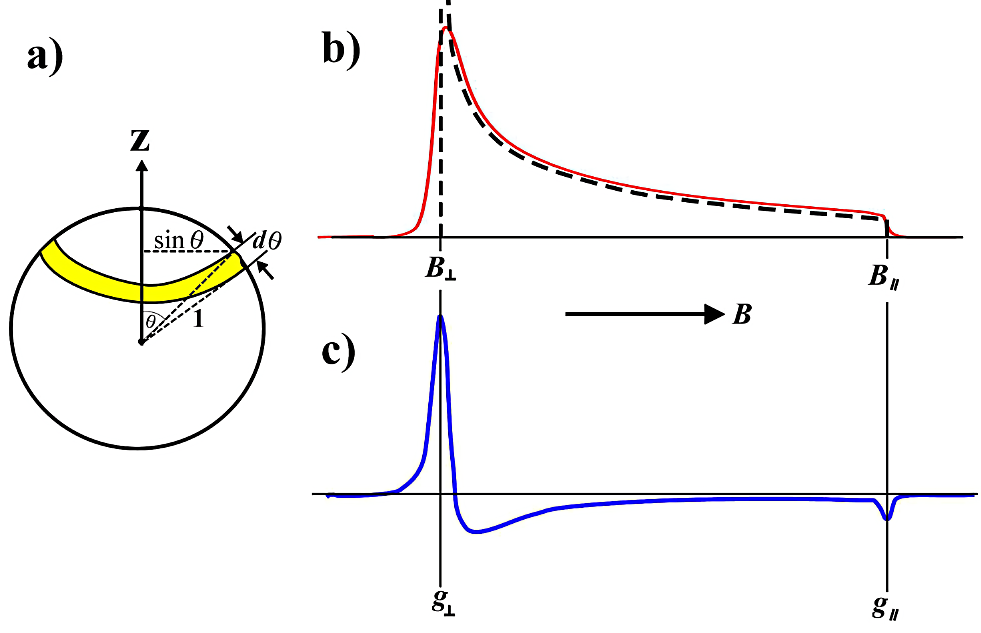軸対称（\(\boldsymbol{g_{\perp}} > \boldsymbol{g_{\parallel}}\)）な \(\boldsymbol{g}\) 因子による無秩序配向 EPR スペクトルの線形a）磁場の向きの確率を表す単位球。常磁性分子種が無配向で、あらゆる配置をとって空間分布しているとき、分子に固定した主軸座標からみると同じ確率で磁場があらゆる方向を向くことになる。磁場の向きが \(\theta\) から \(\theta + \mathrm{d} \theta\) の間にある確率は図の黄色帯状の面積に比例する。この確率は \(\theta\) に対応する共鳴磁場を生じる確率になる。b）これより空間平均をとったスペクトル強度（線形関数）が得られる。この線形関数には分母に \((B^{2} - {B_{\perp}}^{2})\) の項が含まれるので、スペクトルに線幅がないとすると、吸収強度は \(\boldsymbol{B_{\perp}}\) で無限大になり、\(\boldsymbol{B_{\parallel}}\) で勾配が不連続になる（破線の曲線）。実際の吸収線は、ある線形と線幅を持っているので、無秩序配向の線形は赤色で示した実線のようになる。C）実際に測定される一次微分曲線を青色実線で示す。二つのピークから \(\boldsymbol{B_{\perp}}\) と \(\boldsymbol{B_{\parallel}}\) を求めることができる。したがって、\(\boldsymbol{g_{\perp}}\) と \(\boldsymbol{g_{\parallel}}\) が決定される。