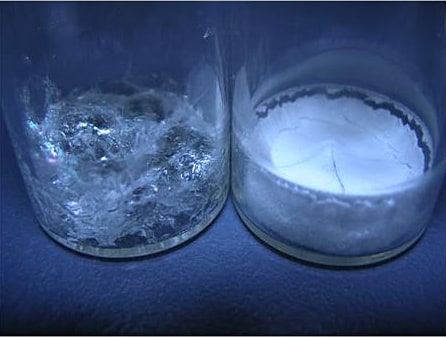 凍結乾燥により構造崩壊（コラプス）した個体と多孔質固体の例