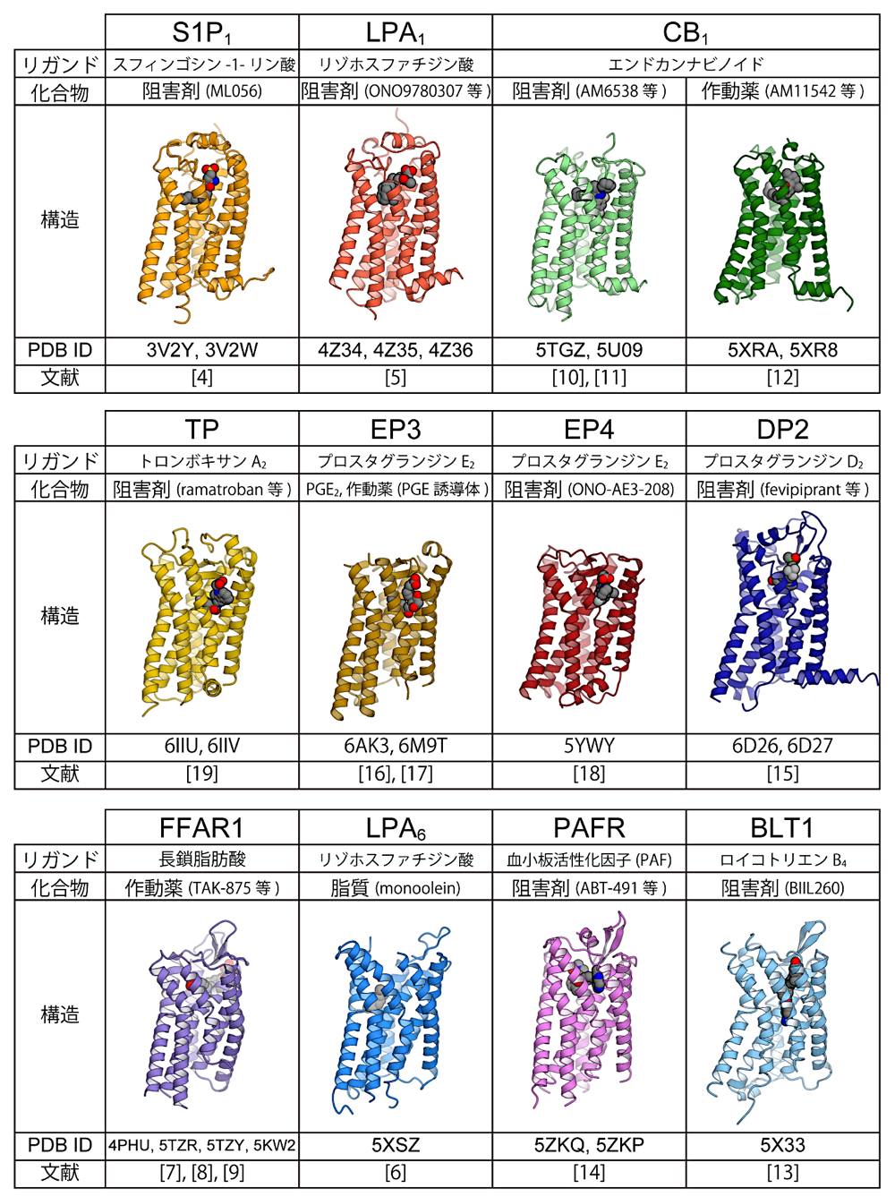 図3：脂質受容GPCRの既知構造（TM7側から見た図）。文献番号は本文に対応。リガンド：生理的リガンド、化合物：共結晶化された化合物。