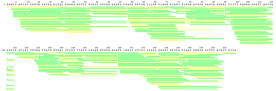 ペプチドの sequence converge を HDExaminer で表示させた例。数字はアミノ酸残基番号。数字に対応したバーが検出されたペプチドを示している。検出されたペプチドの信頼度に応じて緑色もしくは黄色となる（緑色の方が信頼度が高い）。この事例においては90％近い sequence converge が得られている。