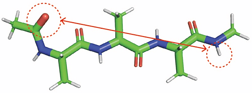 図1：Alanine Tripeptide。点線丸で囲った原子間の距離を反応座標として使用。