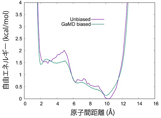 図14：GaREUSで用いた反応座標の自由エネルギー地形GaMDのバイアスがかかったもの（GaMD biased）とバイアスを取り除いたもの（Unbiased）。