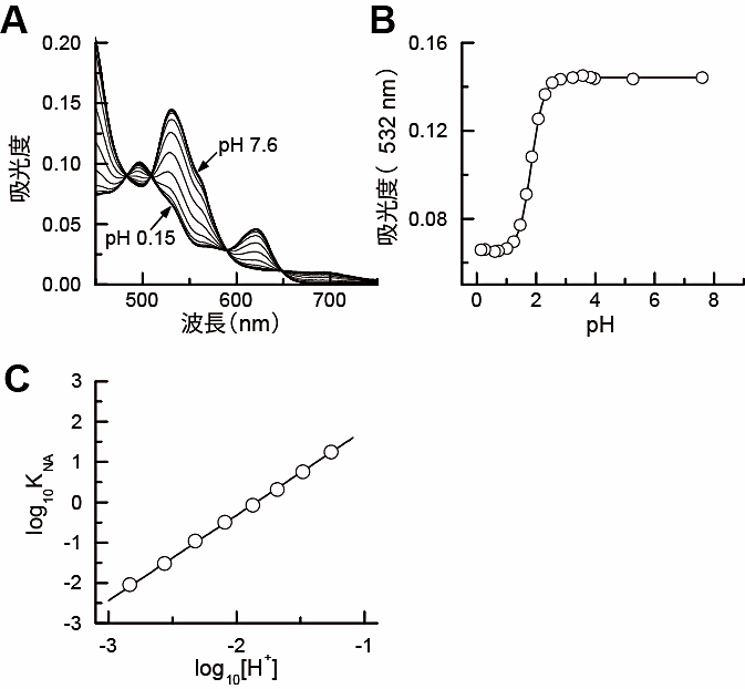 図4：PA Cyt c の吸光スペクトルの pH 変化の解析例。（A）PA Cyt c(III) の可視光域の吸光スペクトル。pH 0.15‒7.6 の範囲で測定した。温度は20.0°C。許諾を受けて文献[8]から転載。（B）PA cyt c の 532 nm における吸光度の pH 変化と，それに対するフィッティングで得られた式 (4.11) のモデル曲線。許諾を受けて文献[8]から転載。（C）pH で誘起された PA Cyt c のコンフォメーション変化についての Wyman プロット。log_10_[H~+~]が−3から−1の範囲のデータに対してフィットさせた直線も表示した。この直線の傾きは2.12である。