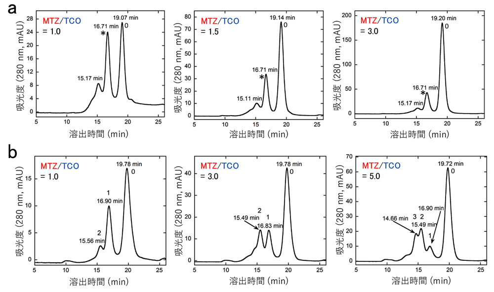 図9: hFasLECD-PEG3-TCOと他の機能性蛋白質のMTZ誘導体の架橋反応混合物の分析。図中に記載した各混合モル比のhFasLECD-PEG3-TCO（TCO）と他の機能性蛋白質のMTZ誘導体（MTZ）の反応混合物のサイズ排除クロマトグラフィーにおけるプロフィールと各ピークの溶出時間を示した。a) Avi-PEG4-MTZとの反応混合物(28℃、1h)、ピークラベル: 0, 非架橋体; *, 1:1架橋体、b) rFab’-PEG4-MTZとの反応混合物（25℃、1h）、ピークラベル: 0, 非架橋体; 1, 1:1架橋体; 2, 1:2架橋体; 3, 1:3架橋体。©Michiro Muraki（（クリエイティブ・コモンズ・ライセンス（表示4.0国際））[61]を改変して作成。