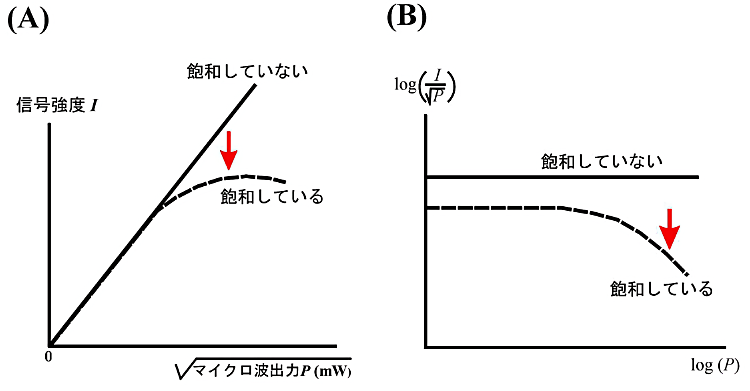 飽和の観測（A）EPR 信号強度（\(I\)）を使用マイクロ波出力（\(P\)）の平方根でグラフにした。グラフが比例関係を表している範囲では飽和は観測されていないが、信号強度が比例直線の下方にずれてくると飽和が観測される。（B）（A）のグラフの傾きとマイクロ波出力の関係を対数でグラフ化した。