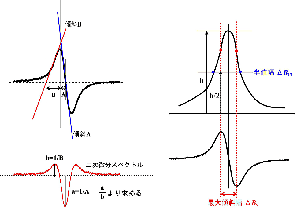 ローレンツ型、ガウス型の見分け方傾斜法（左図）では、典型的なガウス型は \(\mathrm{B/A} = 2.2\)、ローレンツ型は \(\mathrm{B/A} = 4\) となる。右図は吸収の半値幅 \(\Delta \boldsymbol{B}_{1/2}\) と微分曲線の最大傾斜幅 \(\Delta \boldsymbol{B}_{\mathrm{S}}\) の比で線形を見分ける方法を示している。ローレンツ型では1.731、ガウス型では1.177となる。