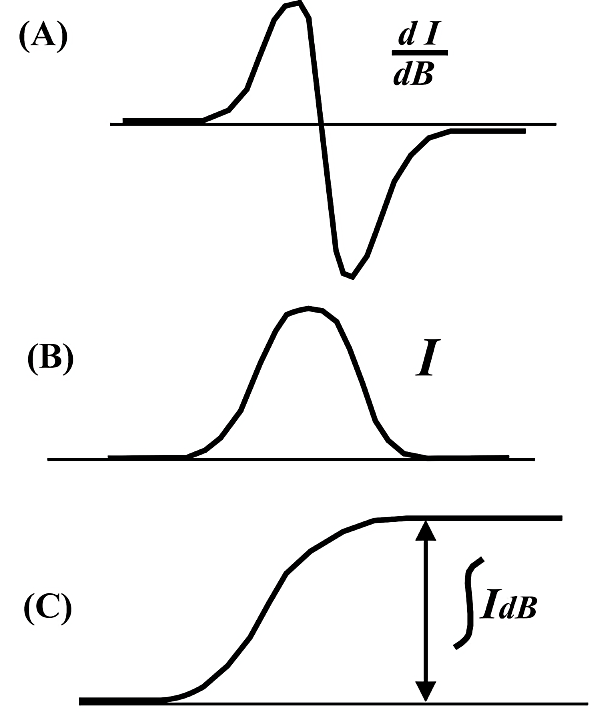 スピン濃度の定量測定（A）一次微分で記録された EPR スペクトル（B）（A）を一回積分して求められた EPR 吸収（C）二回積分で得られた EPR 吸収の面積（矢印部分）