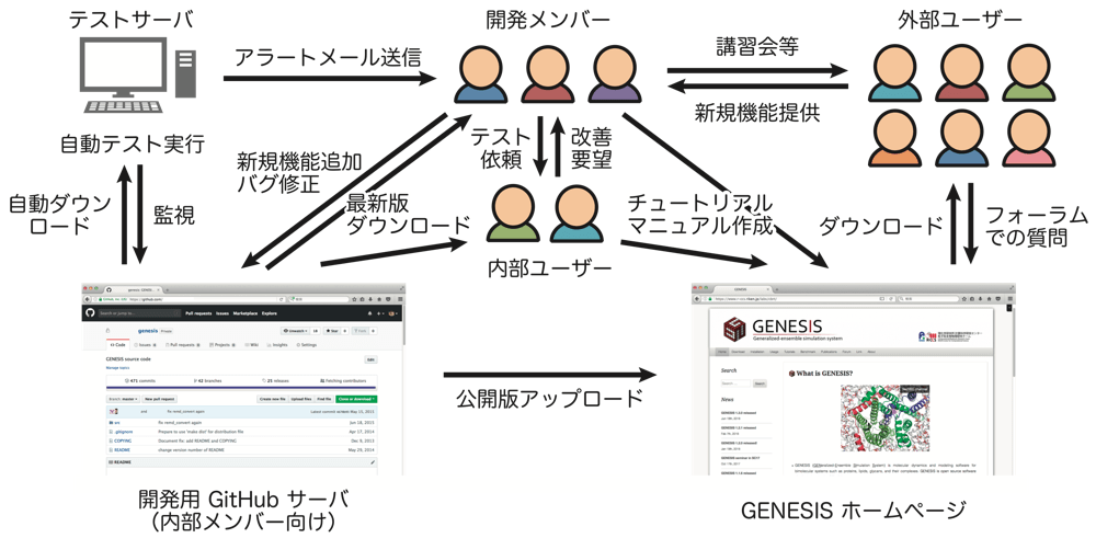 図1: GENESIS開発実施体制。研究室メンバーは普段GitHub上の最新版プログラムを利用して研究を行っている。ホームページに公開されているプログラムは、開発版よりもおおよそ１〜２年程度遅れたものであるが、バグ修正と新規機能に対するテストが十分になされた安定版である。外部ユーザーはホームページのフォーラムに日本語でも投稿でき、開発陣が疑問などに答えてくれる。また、外部ユーザーとも連携して新規機能を導入できるような体制を取っている。