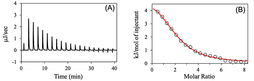 図3：ITCデータ（A）生データ、（B）解析データ。滴定シリンジにMnCl2（4.0mM）、サンプルセルにRNH（0.1mM）を入れ、滴定実験を行った実験例。得られたパラメータは次の通り；n=1.9, Ka=1.23 × 104 M-1、ΔH=5.8 kJ/mol4)。