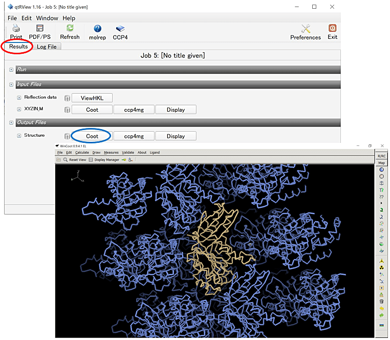 図9：CCP4iメインパネルからJOBをダブルクリックし、Resultsタブ（赤丸）内のOutput FilesからCoot（青丸）を選択する。5.の①～③を実施すれば、右下の図のように結晶中の分子のパッキングが表示される。