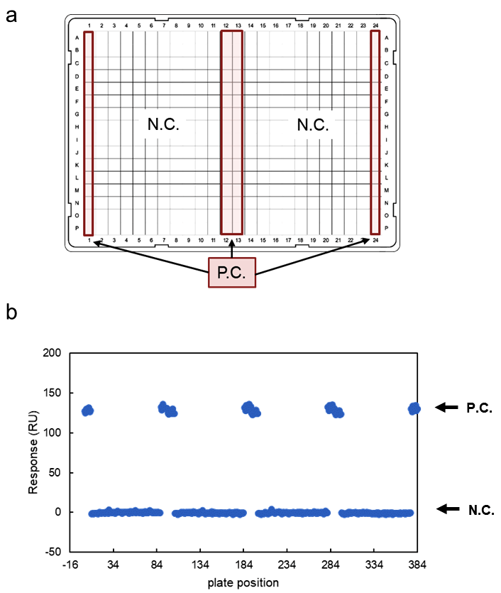図2：Z’ factorの算出。（a）プレート作製例（b）このプレートに対して行ったポジティブコントロール（P.C.）のリガンドとネガティブコントロール（N.C.）の結合レスポンス。この生データから算出したZ’ factorは0.89と良好な値を示した。