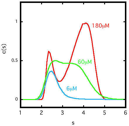 SEDFIT 解析例その3あるタンパク質の沈降速度法実験を異なるタンパク質濃度条件で3つ行い、SEDFIT で解析をしたところ、それぞれの実験で \(\mathrm{c(s)}\) グラフの形が異なった。\(\mathrm{c(s)}\) グラフの右肩にタンパク質の濃度を示した。縦軸は \(\mathrm{c(s)}\) の大きさ、横軸は沈降係数 \(\mathrm{s}\) を示す。ただし、\(\mathrm{c(s)}\) の縦軸方向の大きさは適度に正規化してある。タンパク質濃度が低い 6 μM では \(\mathrm{c(s)}\) グラフのピークは 2.3 S 程度であるが、60 μM の濃度では右側に shoulder があらわれる。さらに 180 μM の濃度では 4.0 S のピークがはっきりとあらわれる。これらの結果からこのタンパク質は、可逆的な自己会合状態にあると考えられた。分子同士の結合・解離が速い「動的平衡」にある系では、\(\mathrm{c(s)}\) にあらわれるピークは重量平均化されてしまっていて、実在する分子種のピークを表すとは限らない。