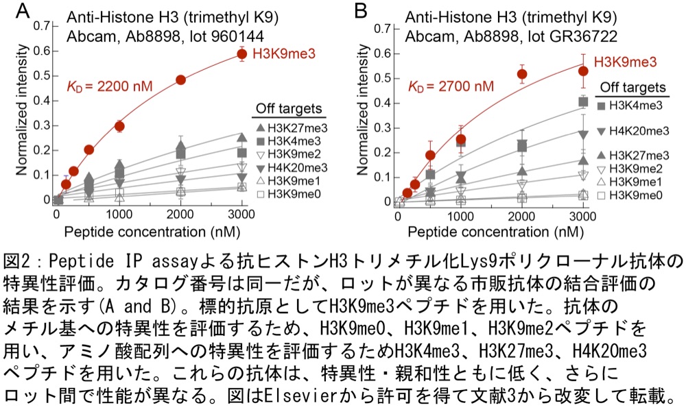 図2：Peptide IP assay よる抗ヒストン H3 トリメチル化 Lys9 ポリクローナル抗体の特異性評価