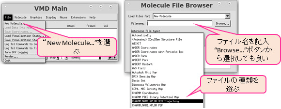図8：VMD によるトラジェクトリ（dcd ファイル）の表示。左は VMD Main 画面。右はファイル選択画面。