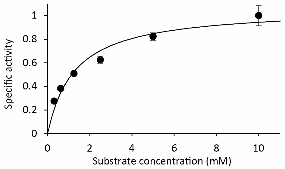図2：基質濃度に依存する輸送速度変化。縦軸は比活性を表す（平均値±標準誤差）。