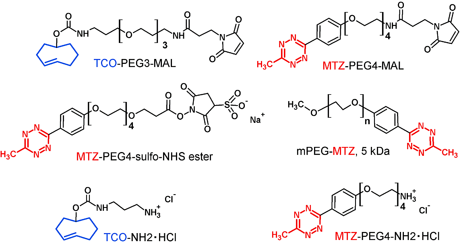 図7: hFasLECDの誘導体化ならびに他の機能性蛋白質分子との結合後のクエンチング反応に使用したTCO基またはMTZ基を含有する試薬の化学構造。配色：青、TCO基；赤、MTZ基。©Michiro Muraki（（クリエイティブ・コモンズ・ライセンス（表示4.0国際））[1]を改変して作成。