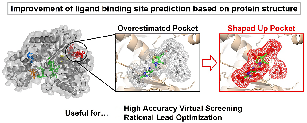 Improvement of ligand binding site prediction based on protein structure