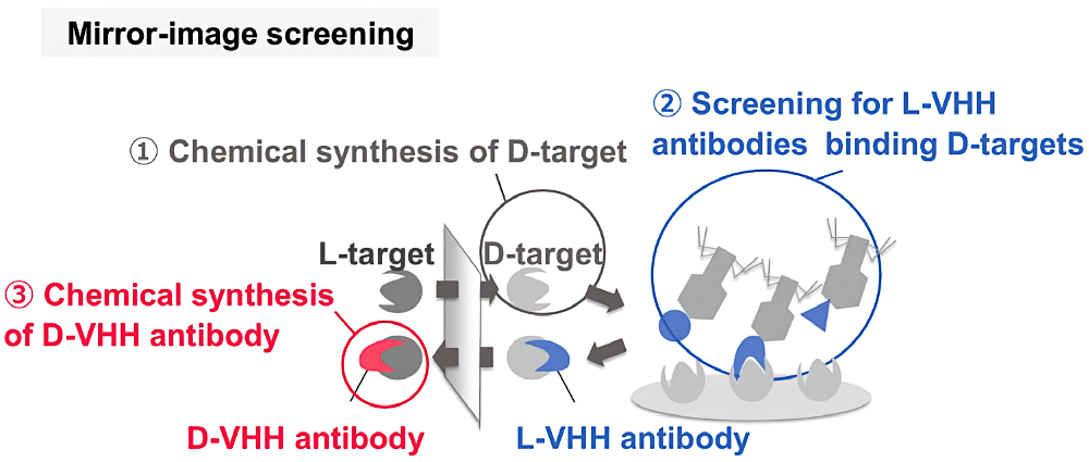 Mirror-image screening